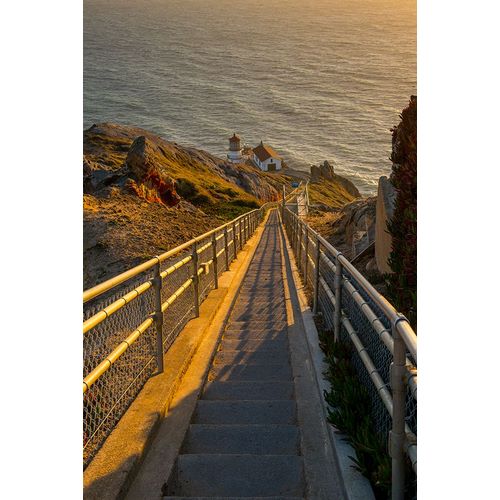 Sederquist, Betty 아티스트의 Usa-California Hundreds of stairs lead down to Point Reyes Lighthouse작품입니다.